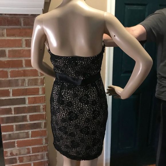 NWOT Modcloth | Mystic | Crochet Overlay Black Dress | Pink Ruffle Above Bodice - Picture 6 of 11